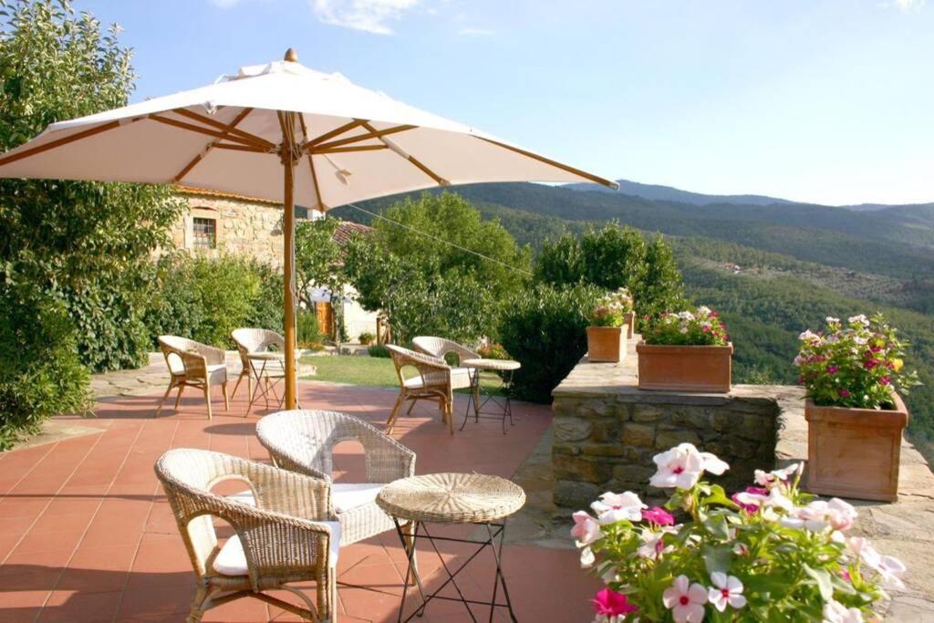 Borgo San Pietro In * Polvano